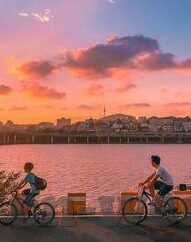 俄罗斯室内足球比分-俄罗斯室内足球比分，赛场风云背后的激情与数据交响