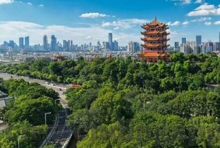 竞彩足球投注比分-竞彩足球投注比分，理性博弈中的智慧与挑战