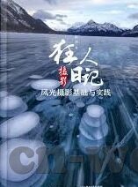 女子足球比分网-女子足球比分网，绿茵场上的数字脉搏与女性力量的崛起