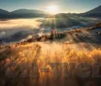 球探网即时比分足球网-球探网即时比分足球网，足球迷的实时数据宝库