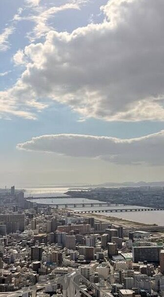 探球足球比分app-探球足球比分app，足球迷的掌上神器，赛事动态一触即发
