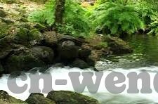 完全足球比分直播-完全足球比分直播，足球迷的实时信息盛宴