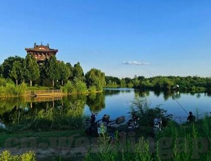 赢比分一足球即时比分-赢比分一足球即时比分，足球迷的实时战场与数据盛宴