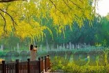 足球比分奥讯-揭秘足球比分背后的奥讯，数据、策略与激情的碰撞
