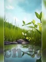 足球比分r-足球比分背后的数字密码，一场比赛的千面解读